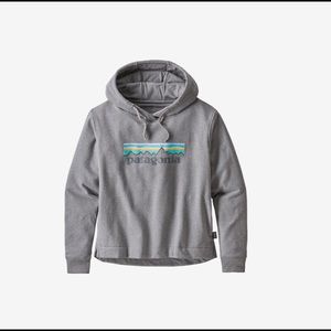 patagonia hoodie